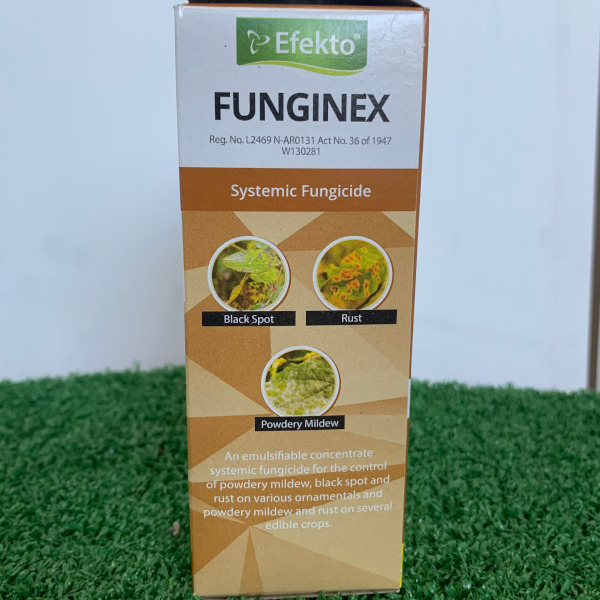 Efekto Funginex 100ml - Image 2