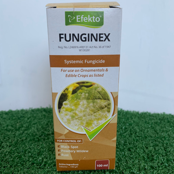 Efekto Funginex 100ml